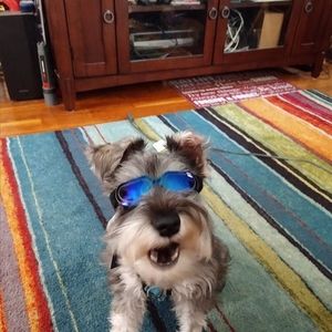 Meet your Posher, Terry